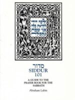 Siddur 101 by Abraham Lubin