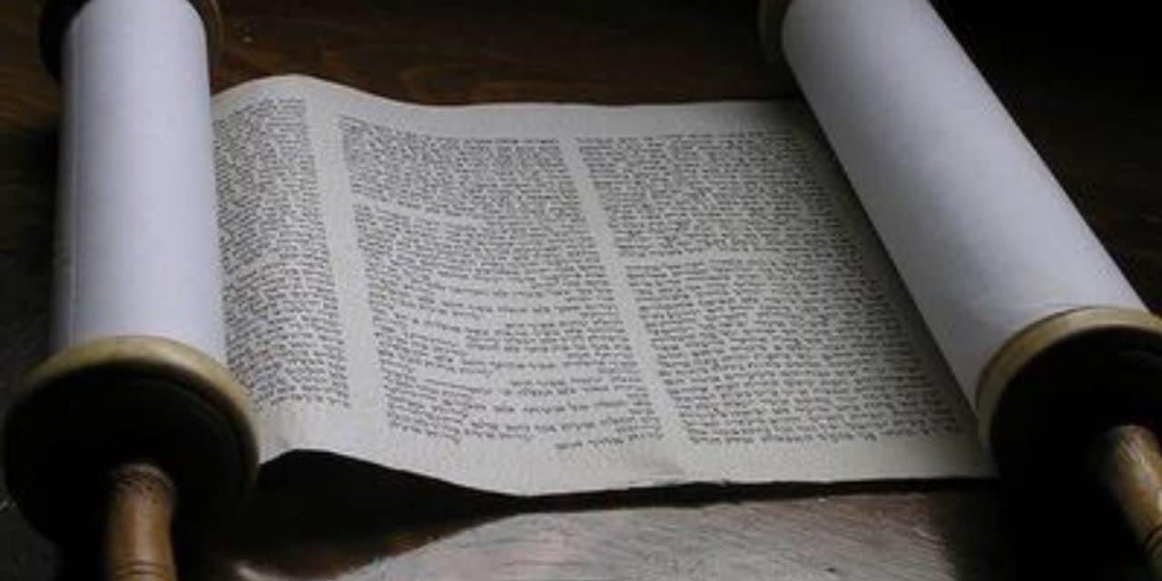 Torah Tidbits