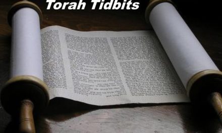 Torah Tidbits