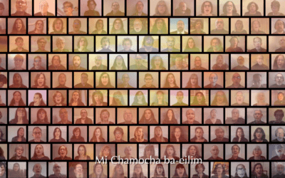 World Premier Video: Safe on the Shore